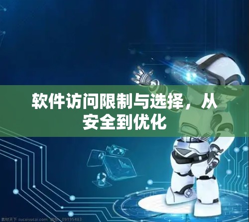 软件访问限制与选择,从安全到优化 软件访问限制与选择,从安全到优化