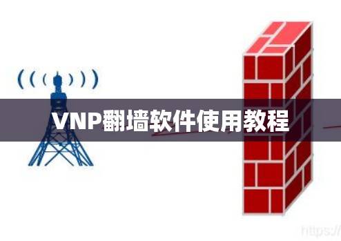 VNP翻墙软件使用教程 VNP翻墙软件使用教程