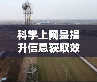 科学上网是提升信息获取效率的科学方法，而老d可能指的是一个经验丰富的老专家或分享者。以下是一些科学上网的实用建议