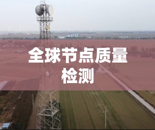 全球节点质量检测