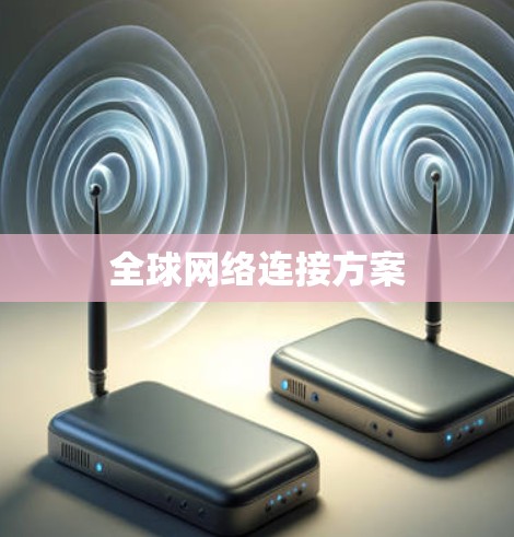 全球网络连接方案