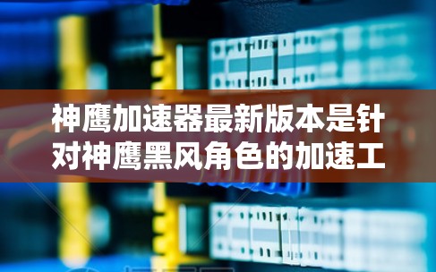 神鹰加速器最新版本是针对神鹰黑风角色的加速工具，旨在提升玩家战斗性能。以下是关于最新版本的一些关键信息