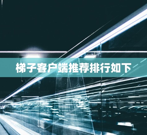 梯子客户端推荐排行如下
