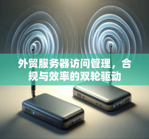 外贸服务器访问管理，合规与效率的双轮驱动