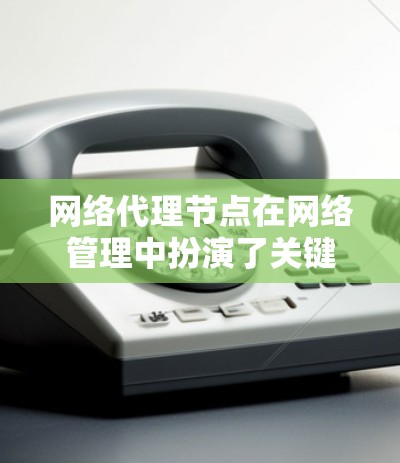网络代理节点在网络管理中扮演了关键角色，以下是对其的详细总结
