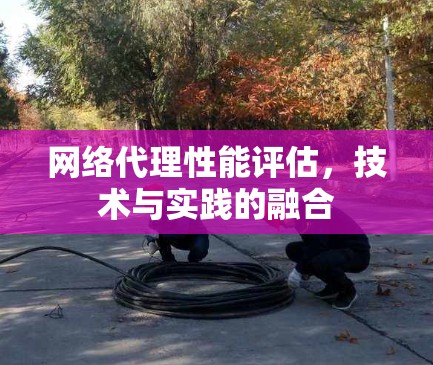 网络代理性能评估，技术与实践的融合