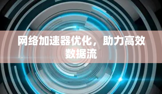 网络加速器优化，助力高效数据流