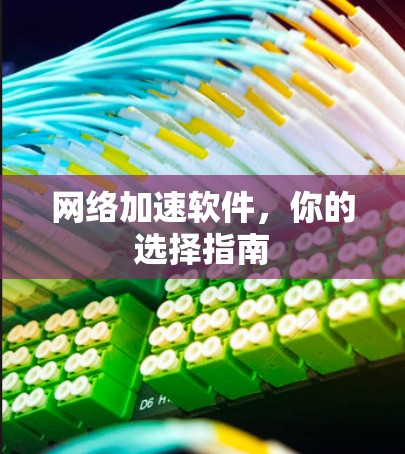 网络加速软件，你的选择指南
