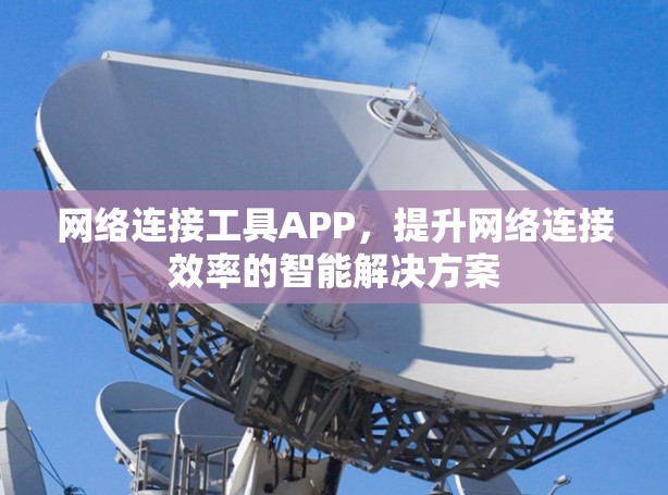 网络连接工具APP，提升网络连接效率的智能解决方案