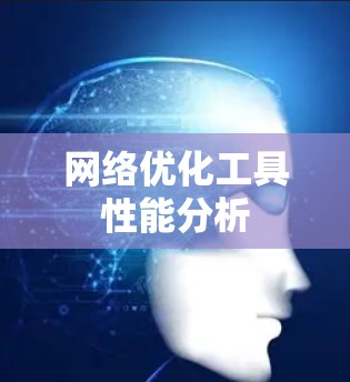 网络优化工具性能分析