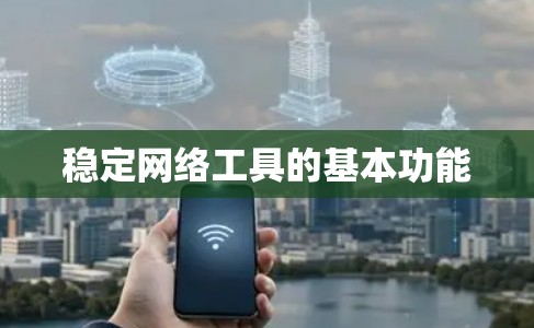 稳定网络工具的基本功能