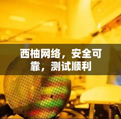 西柚网络，安全可靠，测试顺利
