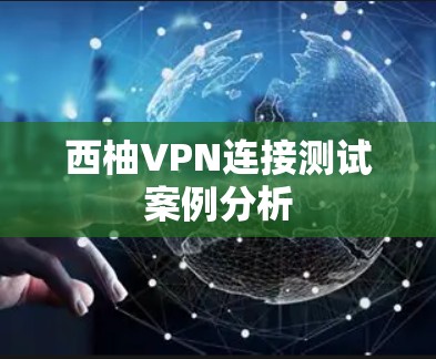 西柚VPN连接测试案例分析