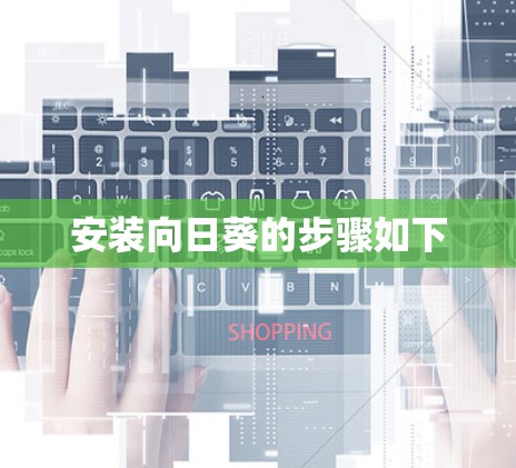 安装向日葵的步骤如下
