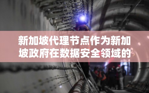 新加坡代理节点作为新加坡政府在数据安全领域的专业服务提供商，主要集中在以下方面