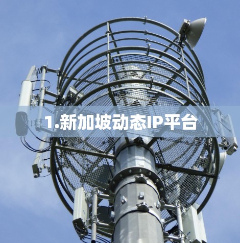 1.新加坡动态IP平台