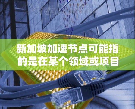 新加坡加速节点可能指的是在某个领域或项目上，新加坡迅速或加速的发展或进展。以下是一些可能的解释和扩展