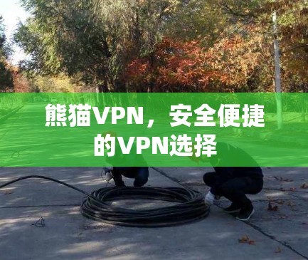熊猫VPN，安全便捷的VPN选择