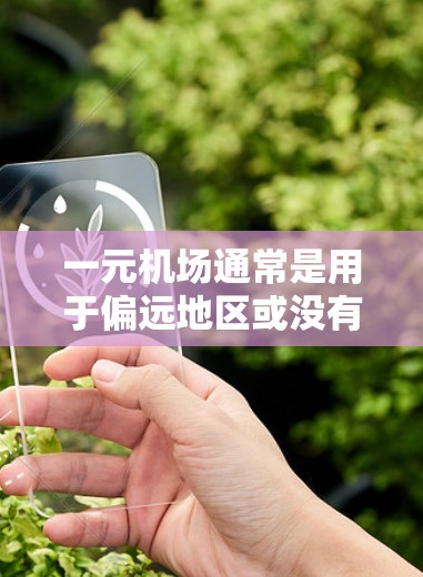 一元机场通常是用于偏远地区或没有互联网设备的地区使用的，通常需要通过物理连接来接入互联网。如果一元机场无法连接，可能是因为以下原因