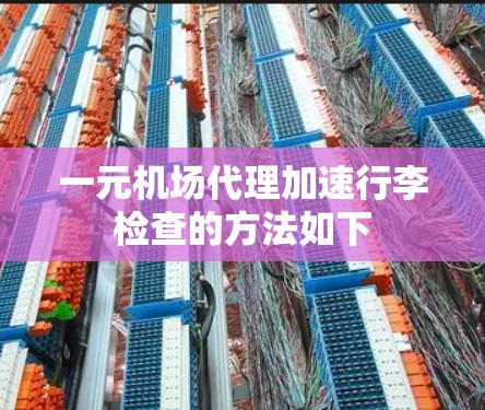 一元机场代理加速行李检查的方法如下