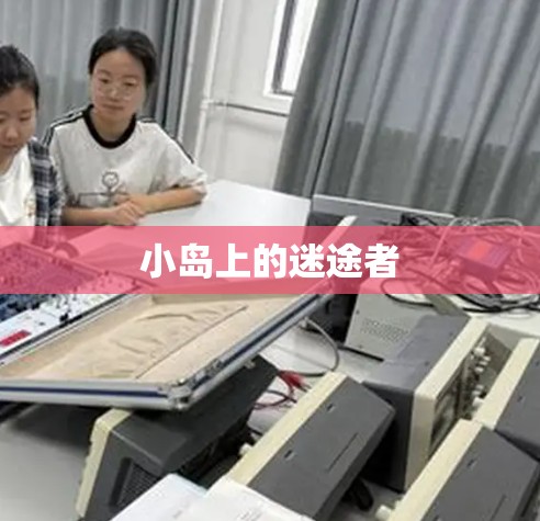 小岛上的迷途者