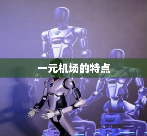 一元机场的特点 一元机场的特点